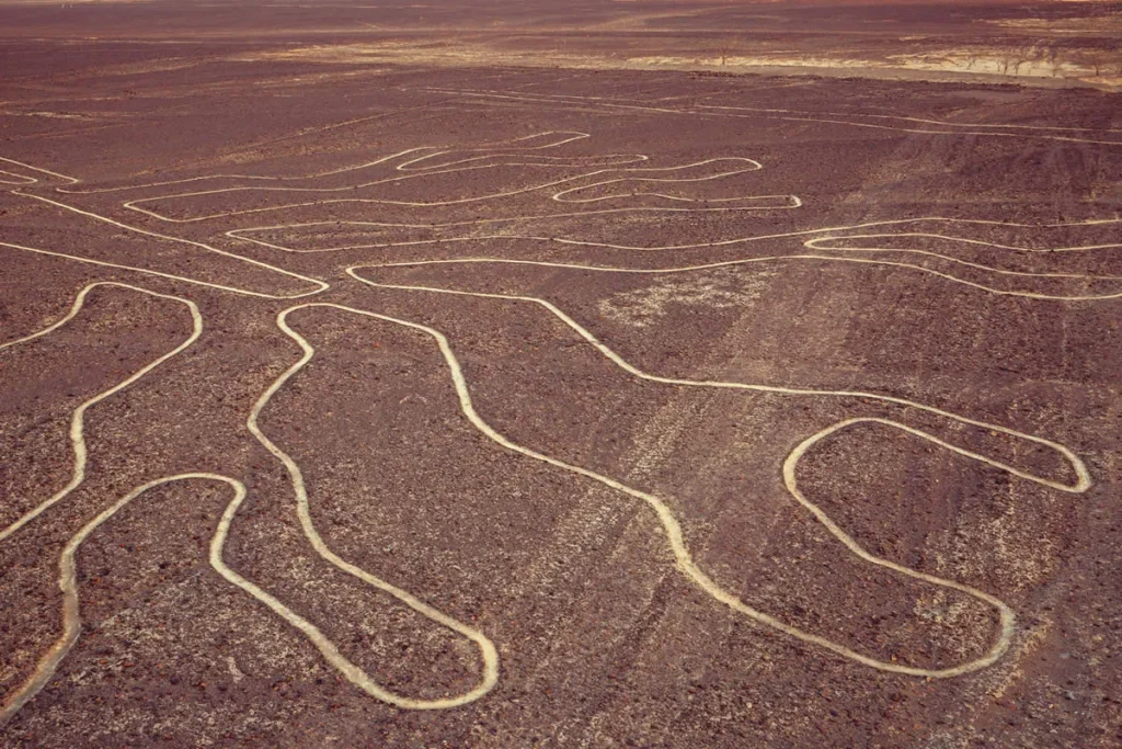lineas nazca 1
