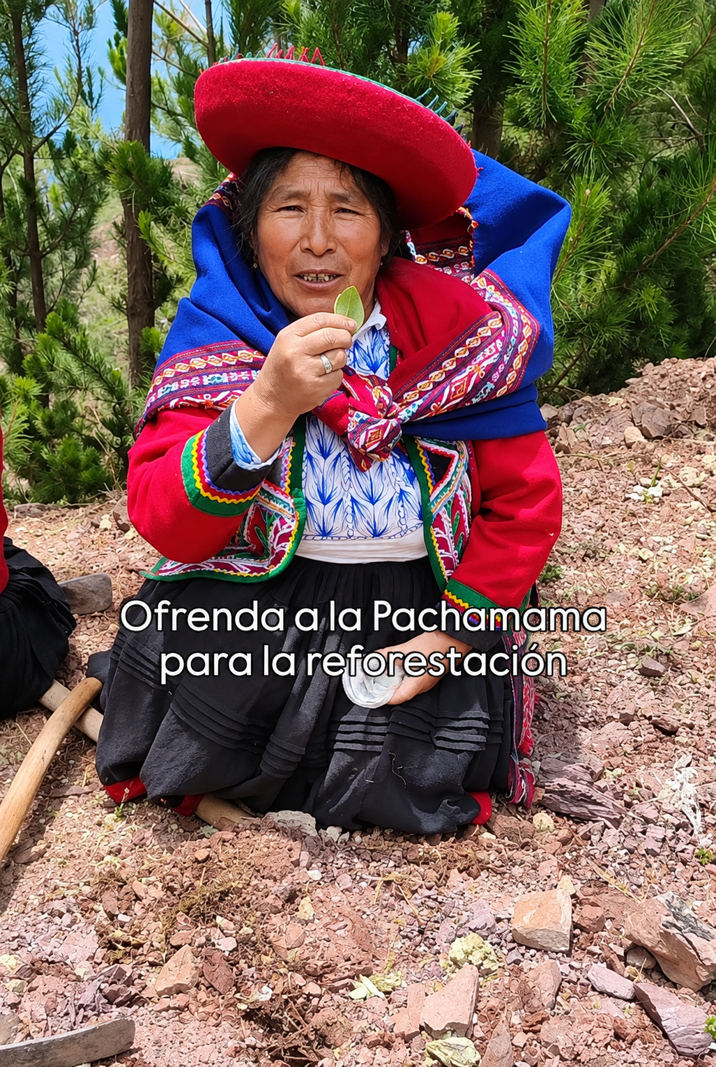 Ofrenda a la Pachamama para la reforestación, realizada por una integrante de la comunidad local